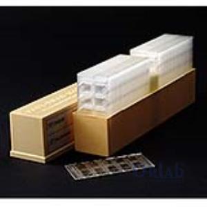 Fast-Read Lamı 1000 Test ( 100 Adet Lam ), 100 Lük