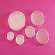 Petri Kutusu, Plastik PS 90 mm, 2 Bölmeli